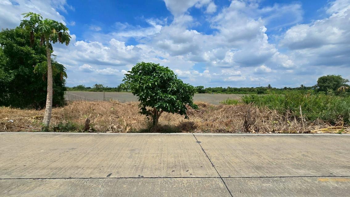 ขายด่วนที่ดิน 100 ตรว ติดถนนสาธารณะ ซ.วัดบัวสุวรรณประดิษฐ์ ลาดหลุมแก้ว ปทุมธานี 4