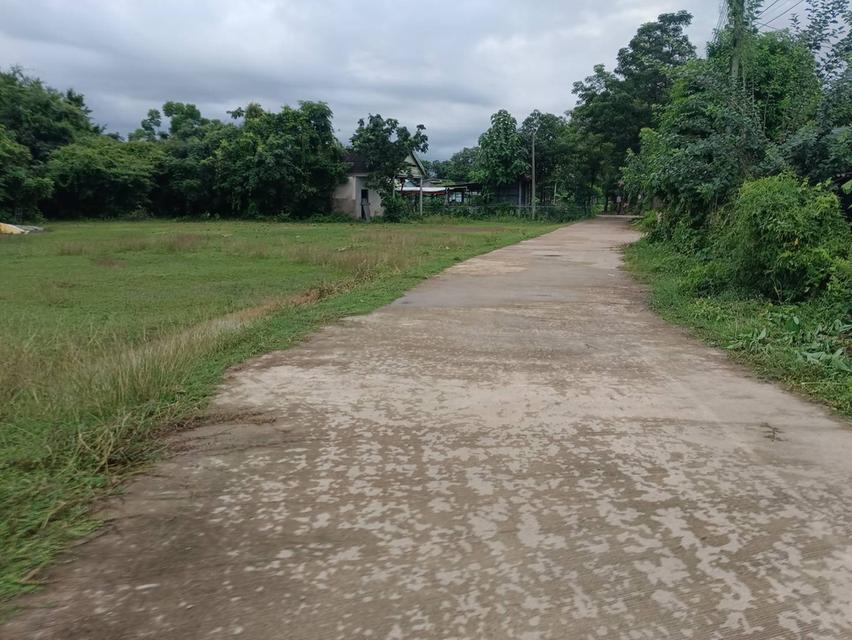 ขายที่ดินเมืองเก่า 4 ไร่ ติดถนนคอนกรีตซอยบ้านโนนบาก ใกล้แยกสามทหาร-2กม. อ.กบินทร์บุรี ปราจีนบุรี 3