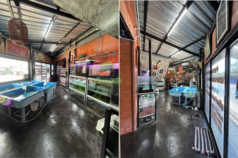 ขายบ้านแปลงมุม หมู่บ้านพิศาล โครงการ 10 พระราม2 ท่าข้าม 30 เนื้อที่ 46.60 ตร.ว ทำเลค้าขายหน้าบ้าน ใกล้เซ็นทรัลพระราม2 4