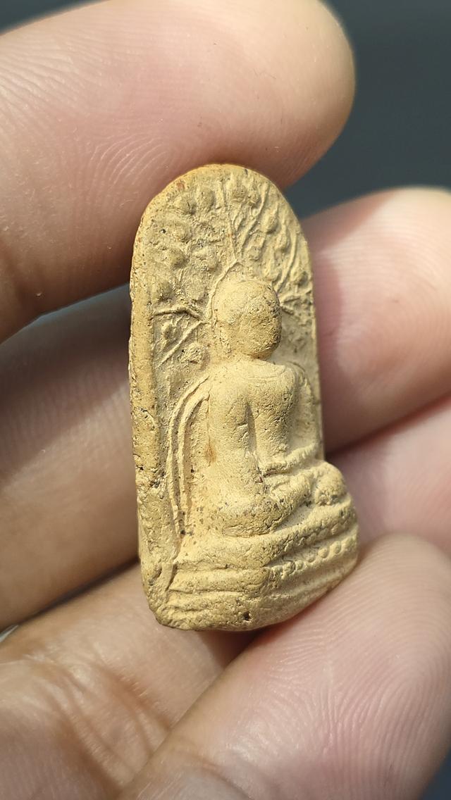 พระคงลำพูน  3