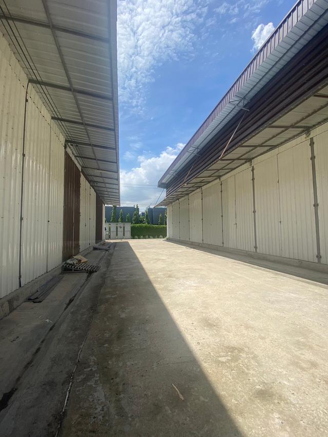 อันนี้พูดเลย ใครไม่รีบคือพลาดหนักมาก❗️🚨 โกดังสายไหม31 ถูกแบบตะโกน! สต๊อกได้แน่นๆ ธุรกิจจะโตต้องมีพื้นที่ ไม่ใช่กองของเต็มบ้านนะคะซิส! 🔥 4