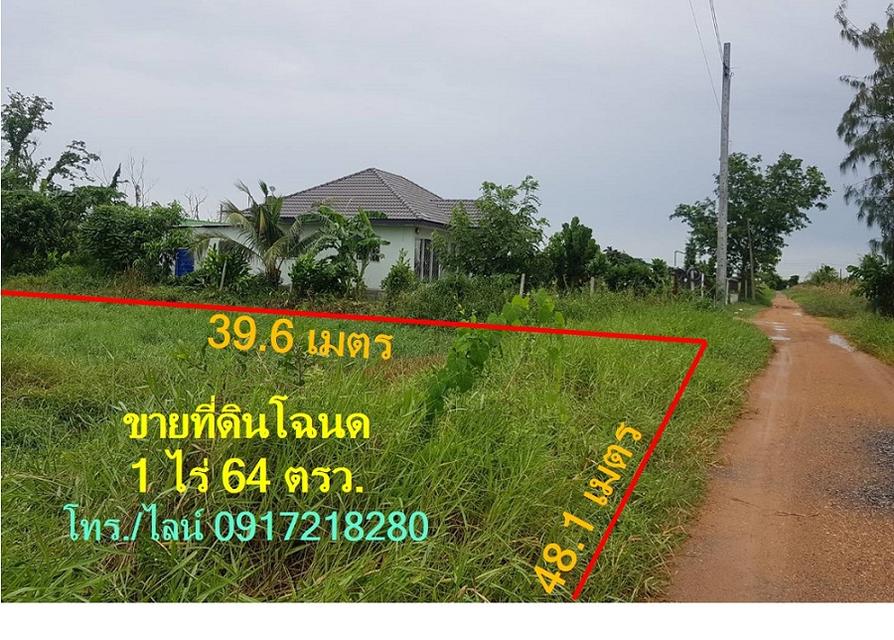 เจ้าของขายด่วน !! ถูกๆ ที่ดินสวยหนองจอก วาละ 4,900 รวม 464 ตรว. ใกล้วัดประยงค์กิตติวนาราม 3