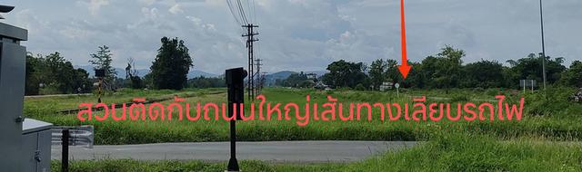 ขายที่ดินพร้อมต้นสักทำเลดีติดถนนเลียบทางรถไฟเขตชุมชนใน อ.เมือง จ.ลำพูน 7