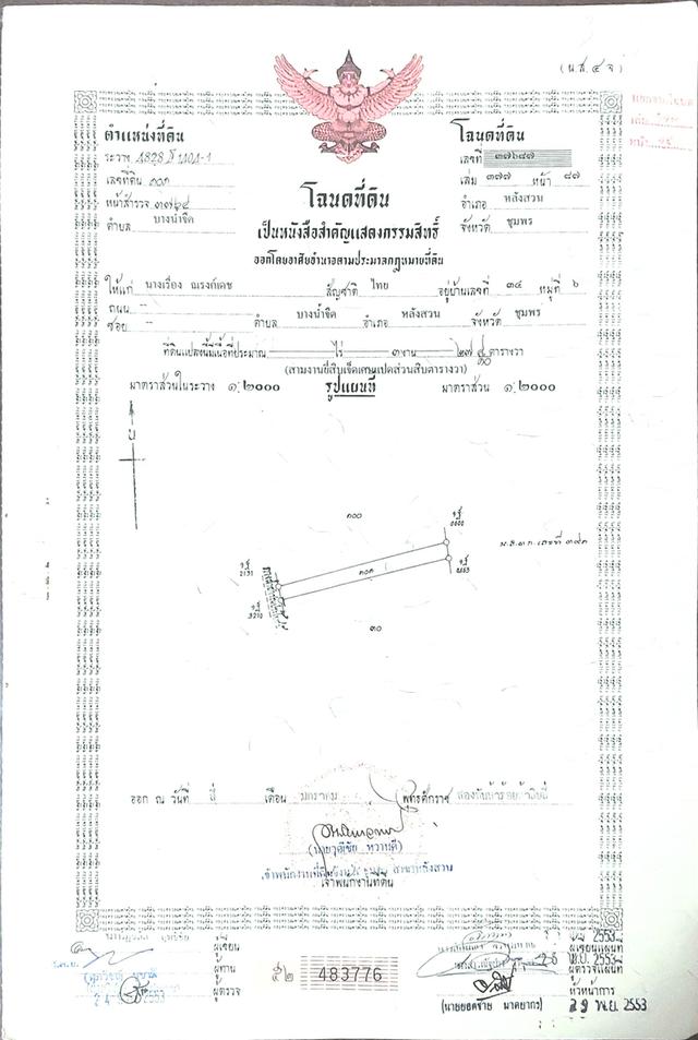 ที่ดิน สวนปาล์มน้ำมัน อ.หลังสวน จ.ชุมพร