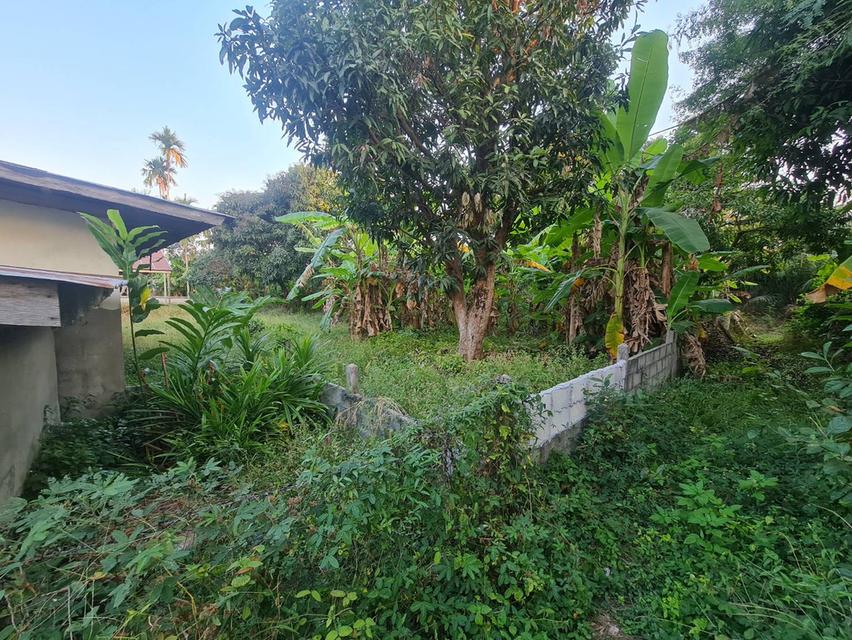 บ้านพร้อมที่ดิน 950,000 บาท ต่อรองได้ 9