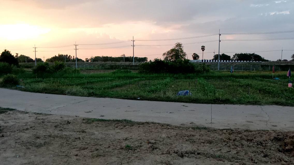 ที่ดิน นครปฐม 4