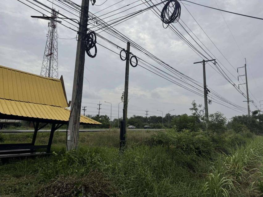 ขายที่ดิน 10