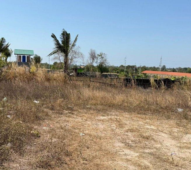 ขายที่ดินหนองปลาไหลถมแล้ว 100 ตรว. ซอยเทพนิมิตร3 ใกล้ถ.กระทิงลาย-ปลวกเกตุ36-4กม. อ.บางละมุง จ.ชลบุรี 2