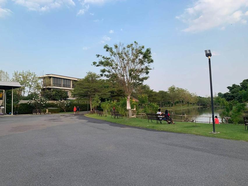 ขายที่ดิน หลังห้างพาราไดซ์ เข้าสวนกลวง ร.9 เพียง 550 เมตร เพื่อนบ้านดี 5