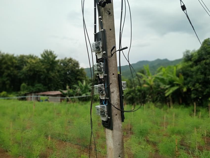 ที่ดินพร้อมต้นสักอายุ15ปี รูปที่ 7