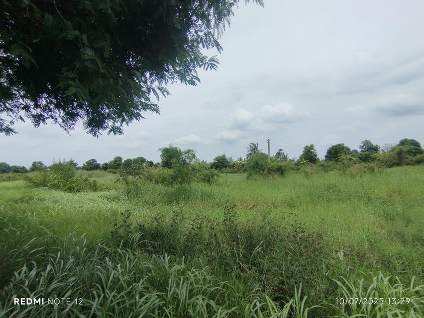 🌿ขายที่ดิน9ไร่กว่า วิวแม่น้ำบางปะกง ต.หัวไทร อ.บางคล้า เหมาะลงทุน-พัฒนาธุรกิจเชิงนิเวศหลายรูปแบบ 9