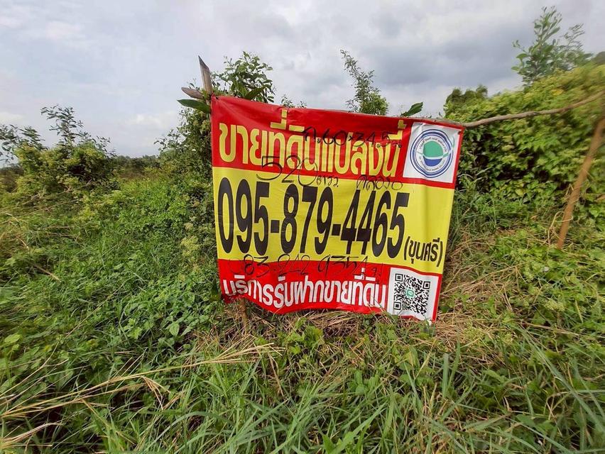 Vายถูกที่ดินคลองหก 520 ตารางวา ติดถนนสาธารณะซอย คลองหก ตต.31/1 อ.คลองหลวง จ.ปทุมธานี 3