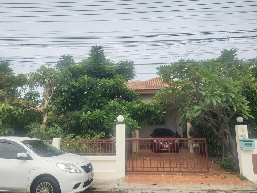 ขายบ้านเดี่ยวชั้นเดียวราคาถูกมาก ด่วนๆๆๆ เจ้าของขายเอง 3,500,000 บาท ราคาต่อรองได้ 4