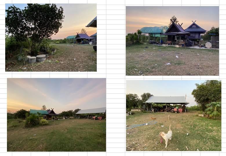 ที่ดิน บางพุทโธ ต.ตะลุง อ.เมือง จ.ลพบุรี 12ไร่2งาน มีสวน และบ้านพร้อมอยู่อาศัย 15