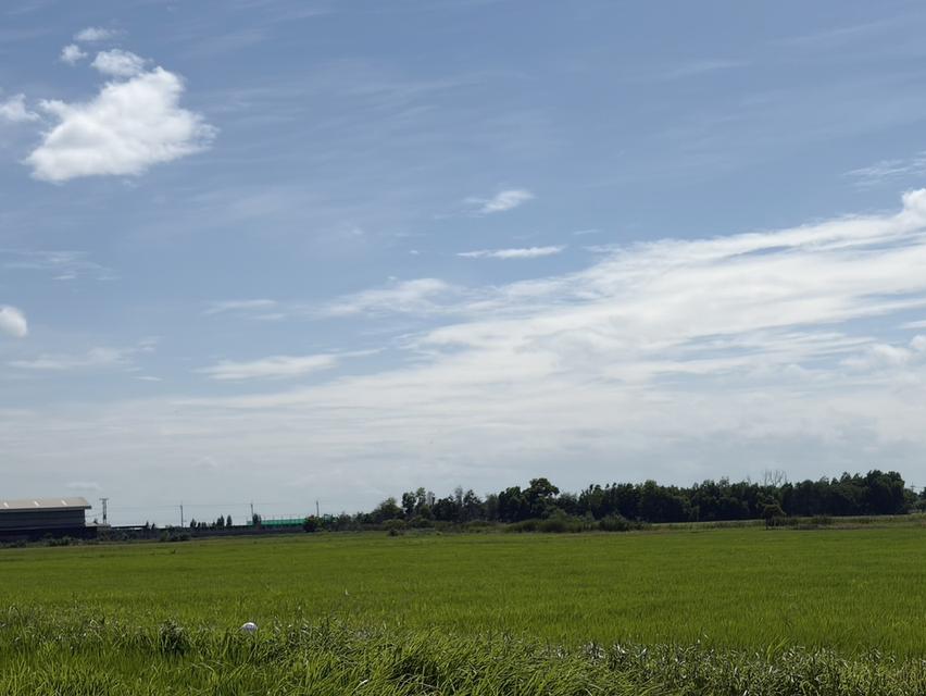ขายที่นา จ.พระนครศรีอยุธยา (เจ้าของขายเอง) 4