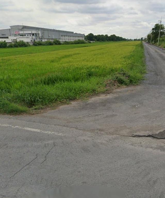 ที่ดินเปล่า 30 ไร่บนถนนธัญญะคลองแ8 4