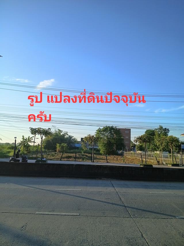 ที่ดินเปล่าหนองจอก กรุงเทพ 2
