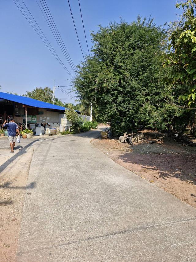 ขายที่สวนมะพร้าวน้ำหอม-ฝรั่ง ต.คูบัว จ.ราชบุรี เนื้อที่ 8 ไร่ 2 งาน 28 ตรว. ขายยก แปลง 7 ล้าน บาท ราคา ต่อรองได้ครับ สนใจติดต่อ062-9565352 เอกครับ 6