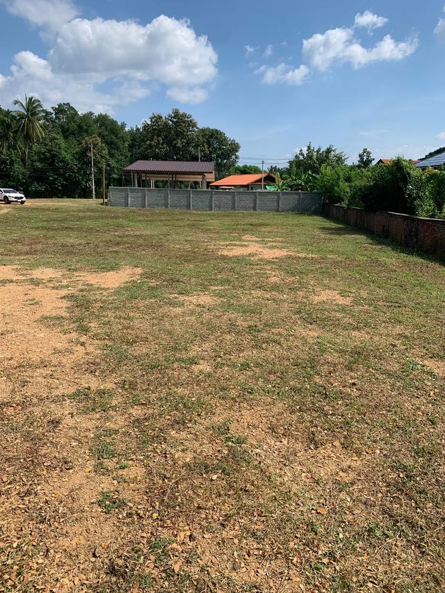 ขายที่ดิน จังหวัดแพร่
