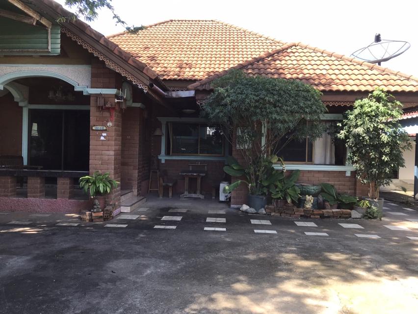 ขายบ้านใกล้เมือง 8 Km (ต.หนองควาย อ.หางดง จ.เชียงใหม่) พื้นที่ 132 ตรว. ขายราคา4.5 ล้าน (น้ำไม่ท่วม) 3