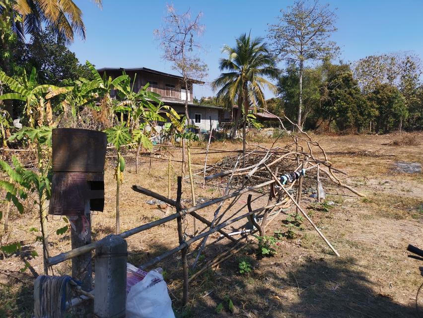 ที่ดินเปล่าถมแล้ว ต.ในเมือง จ.ร้อยเอ็ด เจ้าของขายเอง 8