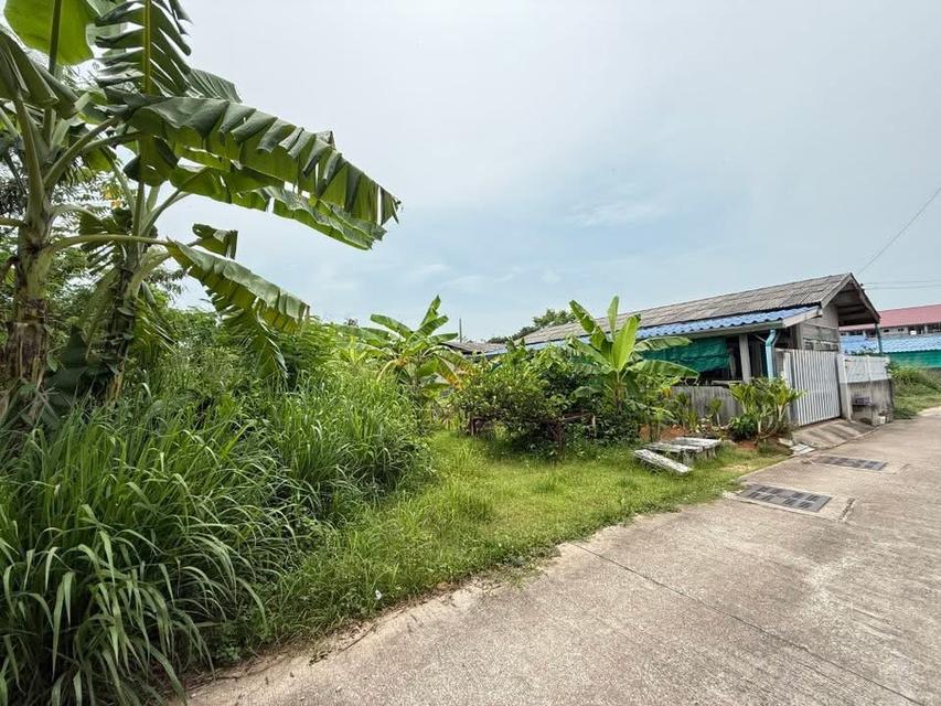 (เจ้าขอเป็นขายเอง) ขายที่ดินเปล่า บางละมุง – พัทยา 🏡 2