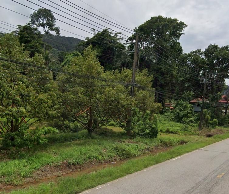 ขายที่ดิน แปลงสวย อ.เกาะช้าง จ.ตราด ขนาด 1-0-42 ไร่ ใกล้ท่าเทียบเรือเกาะช้าง 3