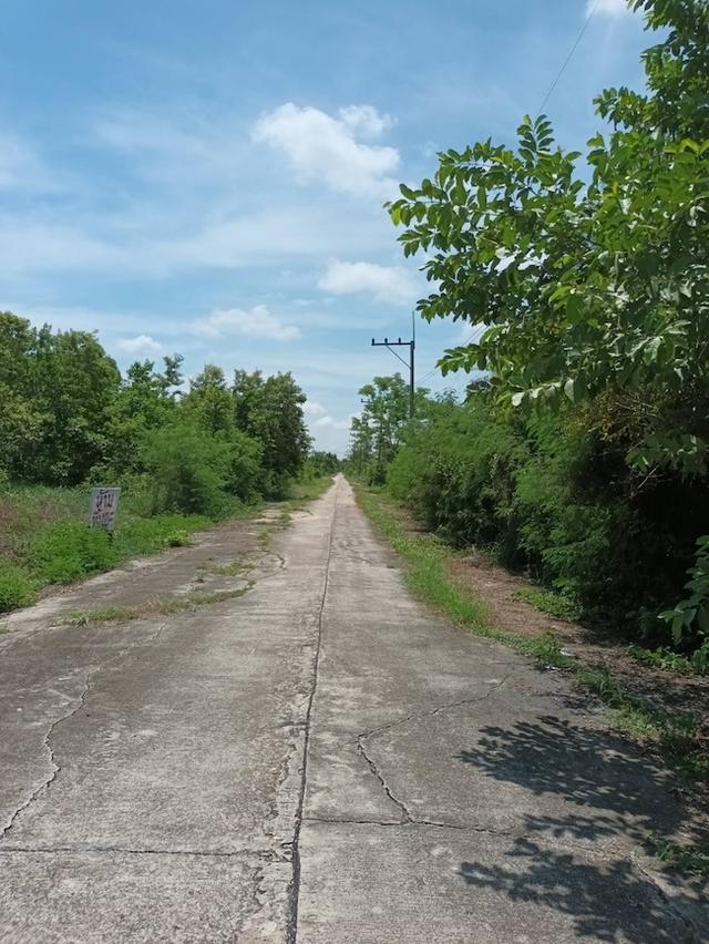 ที่ดิน หนองเสือ ปทุมธานี ขนาด 50 ตร.วา 290,000 12