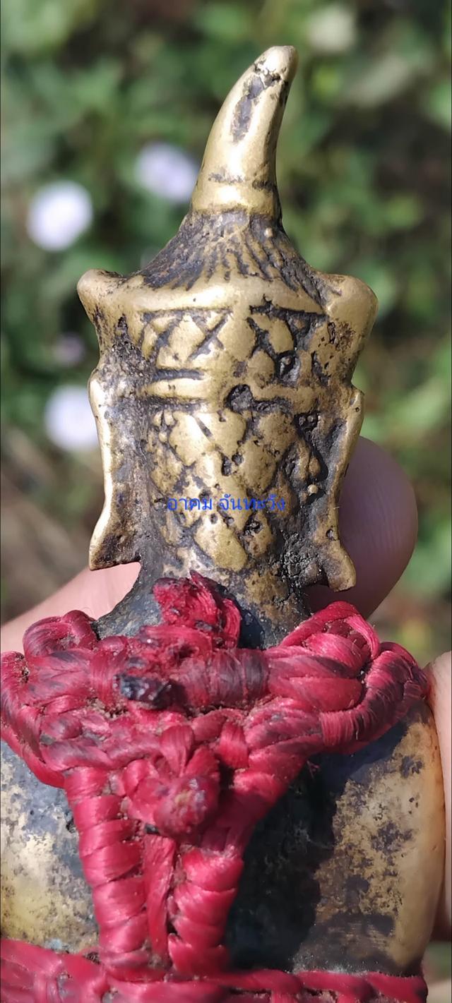 พญางั่งสุวรรณภูมินิ้วกระดก 8