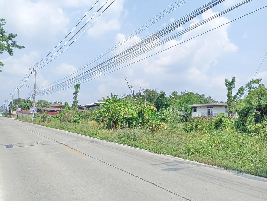 ขายที่ดินพร้อมบ้านสวน  5 ไร่ ติดถนนหน้า-หลัง คลองห้า 4