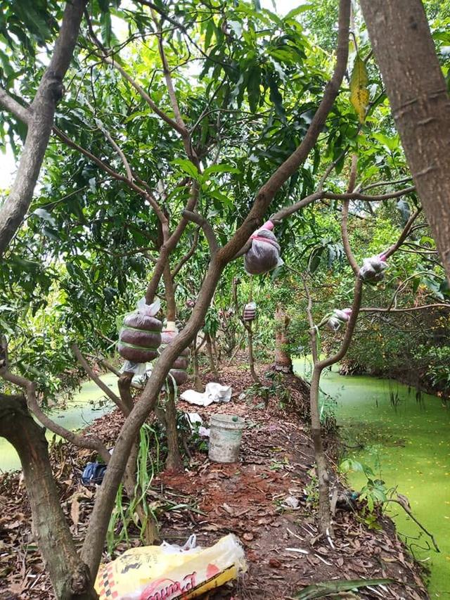 🏡 ขายที่ดิน 18 ไร่เศษ ต.สามง่าม ดอนตูม นครปฐม ใกล้วัดสามง่าม ตลาดดอนตูม รพ.ดอนตูม เหมาะทำบ้านสวน คาเฟ่ หรือเก็งกำไร 💰1.8 ลบ. ต่อรองได้เจ้าของขายเอง รูปย่อยที่ 5