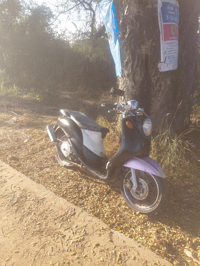 ยามาฮ่า ฟีโน่ตัวเก่า รูปที่ 2