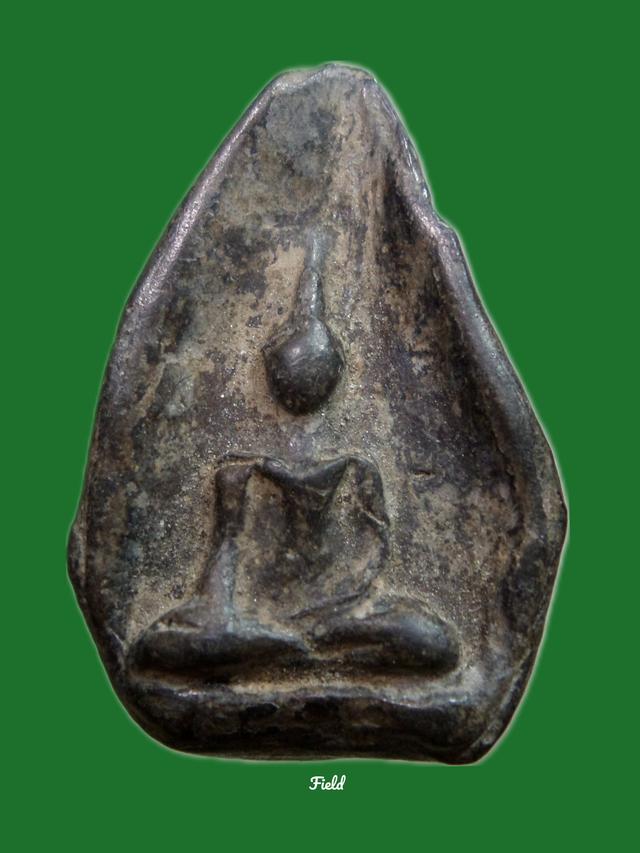 กำแพงกลีบบัวเนื้อดำ