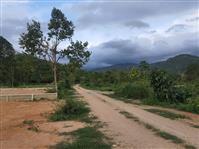 ที่ดิน ราคาถูก ๆราคานี้ หาไม่ได้เเล้ว  โฉนดครุฑเเดง 7