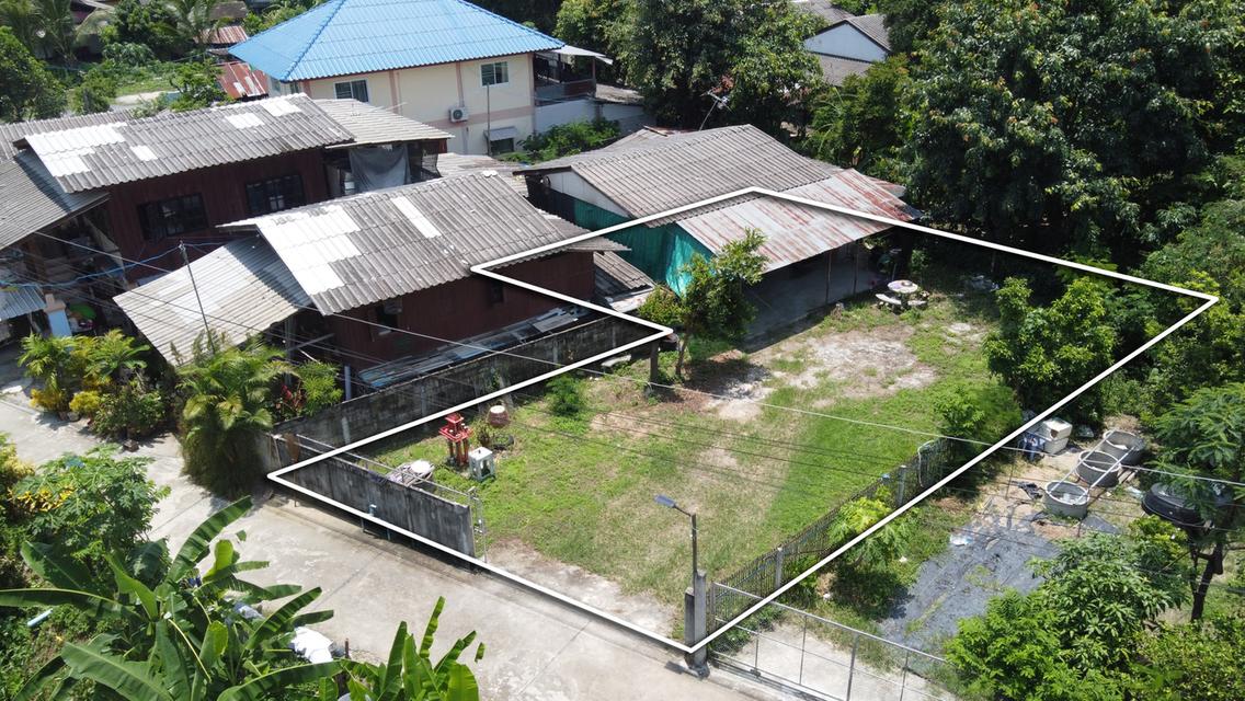 ขายบ้านพร้อมที่ดิน 88 ตร.ว. บ้านป่าไผ่ ใกล้ถนน 1317 เพียง 500 เมตร 6