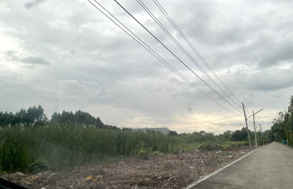 ขายที่ดิน 1 ไร่ คลอง 10 หนองเสือ ปทุมธานี 098 7755 808 12