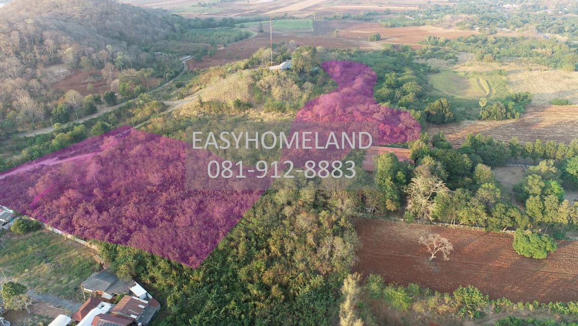 📍 ขายที่ดินแปลงสวย จังหวัดสระบุรี เนื้อที่ 32 ไร่ 1 งาน 93 ตารางวา โทร 081-912-8883 📍 泰国沙拉武里府优质土地出售💰 售价：仅1,000万泰铢 1