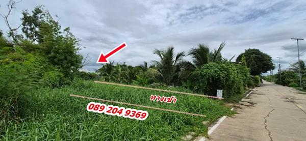 ขายที่ดิน คลอง 8 ราคาถูก ต.ลำผักกูด อ.ธัญบุรี จ.ปทุมธานี พื้นที่ 100 ตรว. 790,000 บาท นก0892049369 5