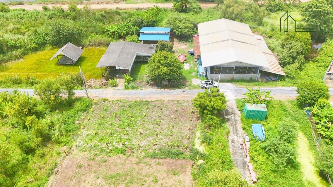 เปิดจอง ที่ดิน คลอง 5 ซอย 68 ตะวันออก คลองหลวง ปทุมธานี