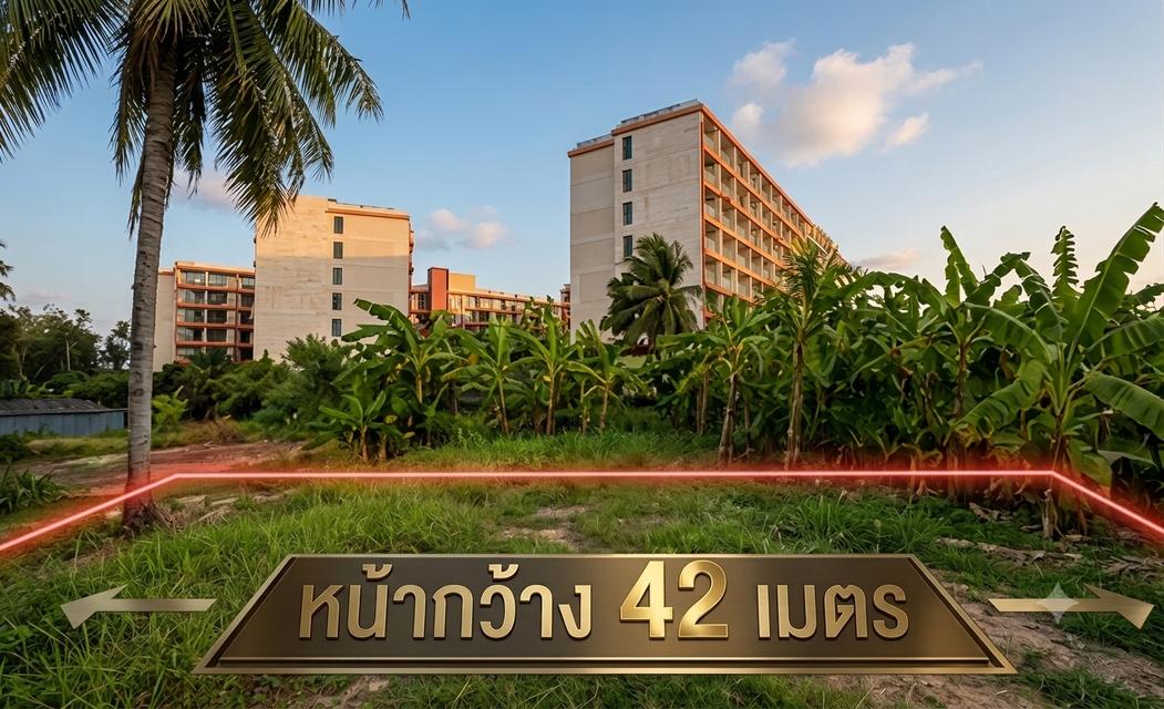 ที่ดิน ไม้ขาว ภูเก็ต 2