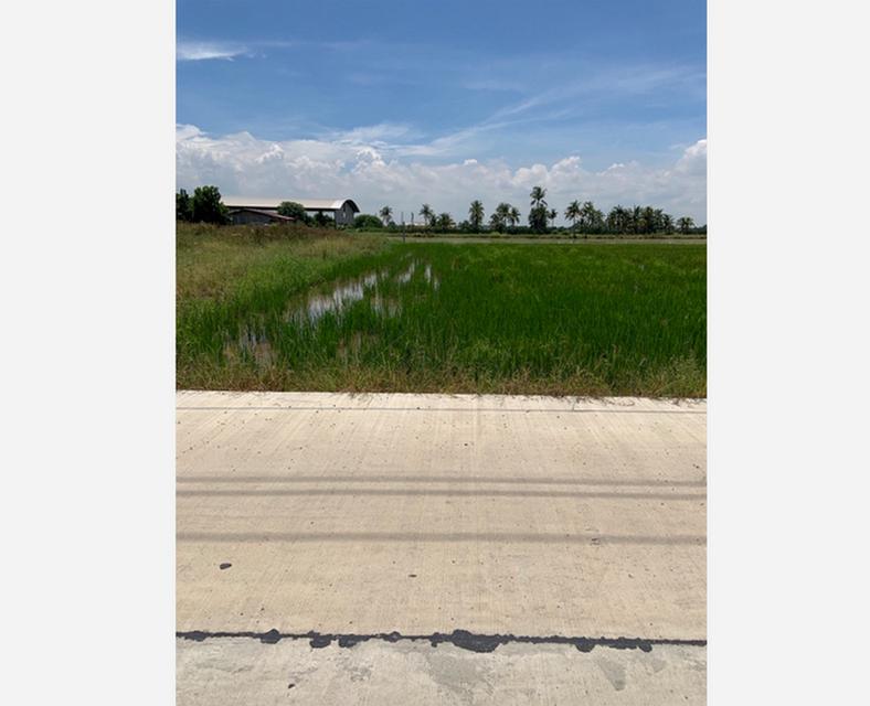 ขายที่ดินเปล่า 2 ไร่ หน้ากว้าง 54 เมตร ลึก 60 เมตร ถนนลำลูกกา คลอง 10 บึงทองหลาง ลำลูกกา ปทุมธานี 2