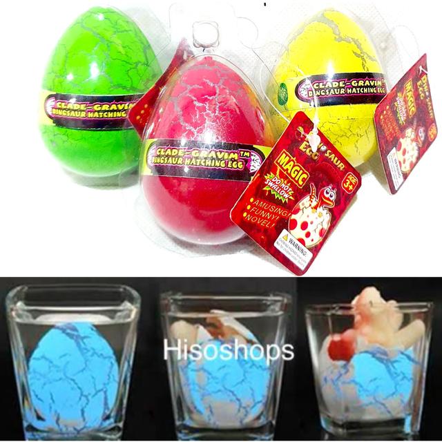 DINOSAUR EGGS ไข่ไดโนเสาร์แช่ น้ำใบใหญ่ ไดโนเสาร์ฟักจากไข่มหัศจรรย์ ให้คุณหนูๆได้ลุ้นการฟักตัวของไดโนเสาร์ 5