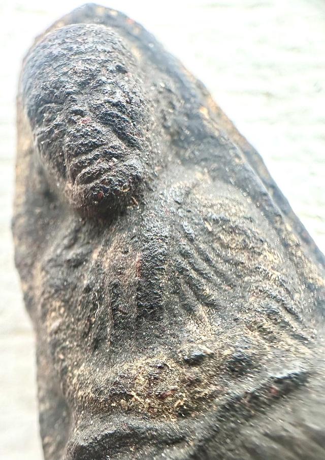 พระหลวงปู่ทวดเนื้อว่าน พิมพ์หลังลายเซ็นต์พระอาจารย์ทิม วัดด่าน จ.ระนอง ปี 2506 สวยๆ ครับ รูปที่ 7