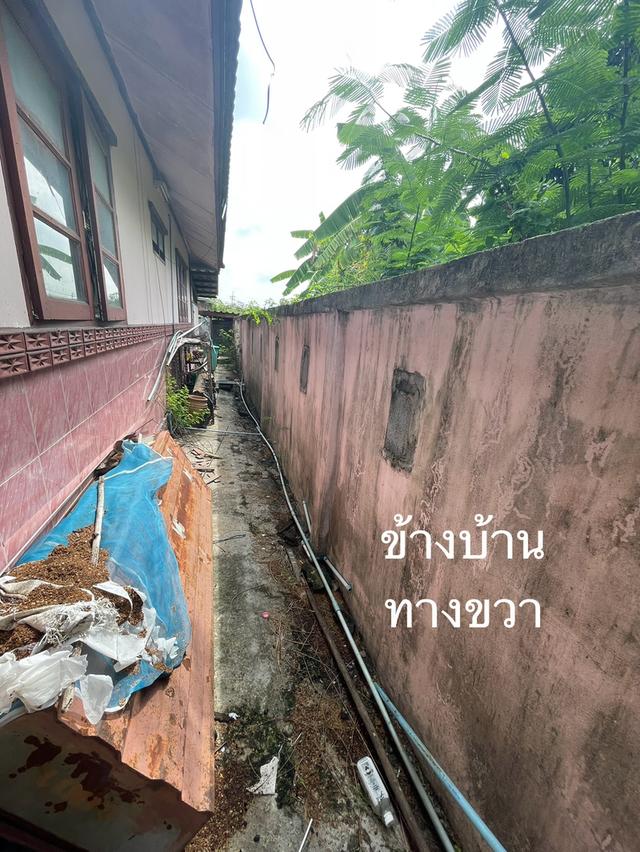 [ขายด่วน] 🏡บ้านเดี่ยว 50 ตร.ว. สายไหม-จตุโชติ ซอย 10 พื้นที่เยอะ โครงสร้างแน่น เจ้าของขายเอง! 6