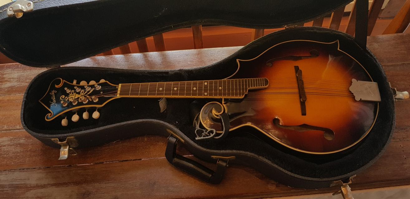 เครื่องดนตรี Mandolin Kentucky (USA)
