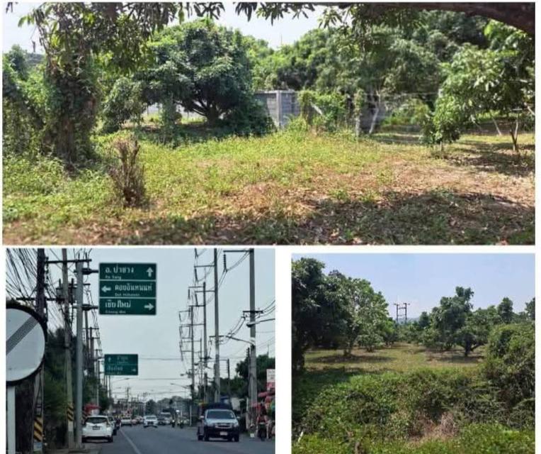 ที่ดินจัดสรรป่าซาง ลำพูน 1