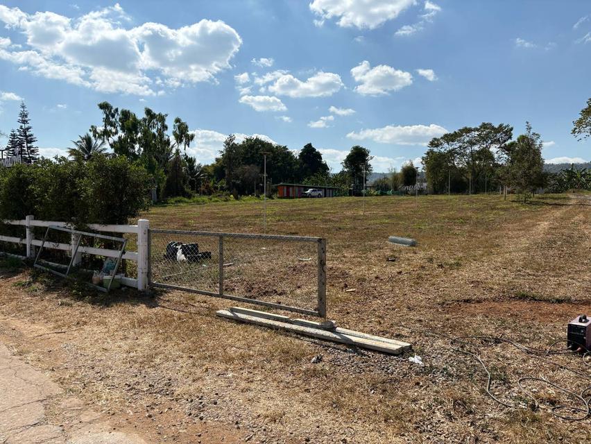 ที่ดินสถานที่ท่องเที่ยว ครุฑแดง หน้ากว้าง 67 ม ซีเมนต์ ระบบนำ้ - ไฟฟ้าเข้าถึง 11