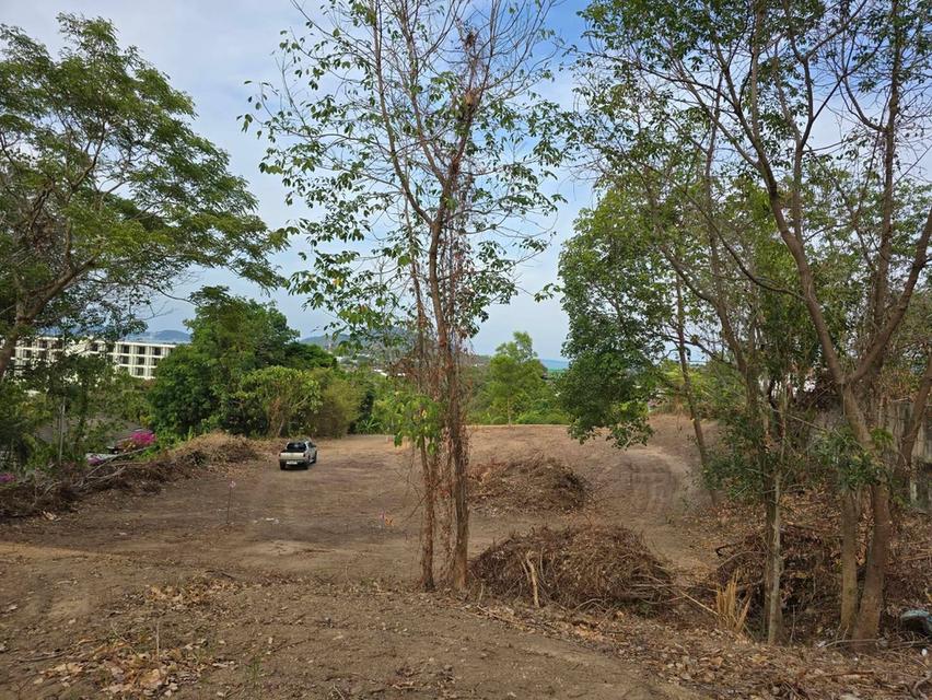 ที่ดินลงทุนทำเลศักยภาพสูง ราไวย์ ภูเก็ต 2