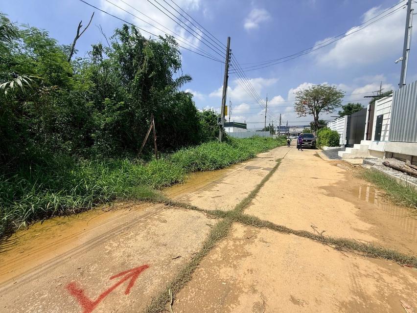 ขายด่วนที่ดิน 704 ตรว ติดถนนพุทธมณฑลสาย 2 ถนนพุทธมณฑลสาย 2 เขตบางแค กทม 1