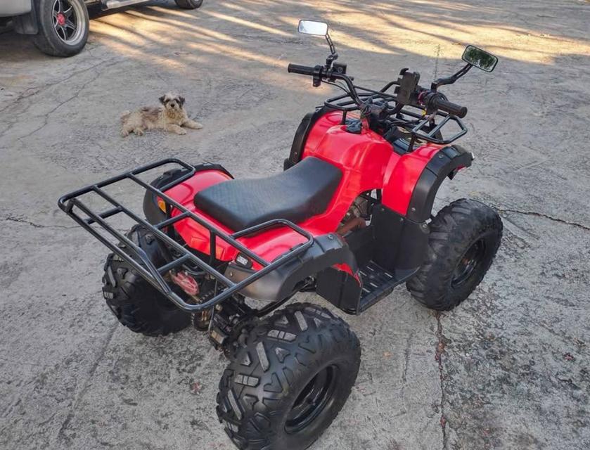 รถ ATV 125 CC บอดี้กลาง 4